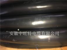 WZCM-201BWZPM-201B端面熱電阻