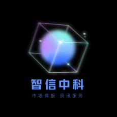 DSD公司企业背景调查研究报告