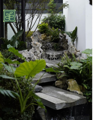 新密市学校园林专业师傅施工