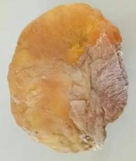 宜春鸡宝拍卖鉴定机构