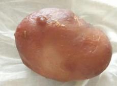 黑龙江鸡宝拍卖公司