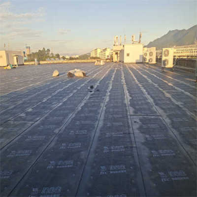 惠阳区当地地下室补漏补强工程哪里有