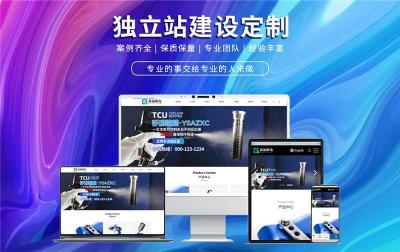 有名气的网站建设有哪些模式
