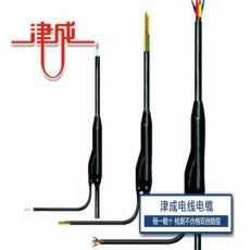 黃陵阻燃型特種電纜廠家
