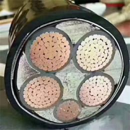 林州津成集成型特种电缆价格