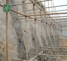 陽西縣高速公路護坡專業師傅施工