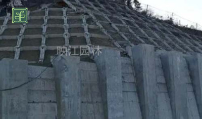 大涌镇水泥护坡施工方案