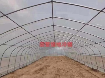 眉山蔬菜单体大棚专业建造，多年经验