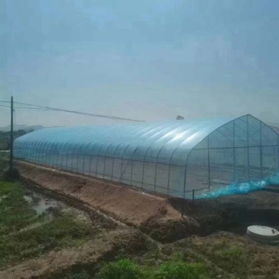 清远蔬菜单体大棚安装工程