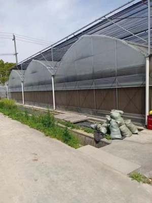淮阴温室连栋大棚骨架专业建造，多年经验