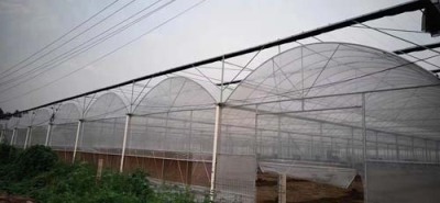 清远蔬菜单体大棚安装工程
