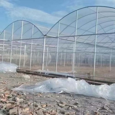 十堰蔬菜温室镀锌钢管安装工程