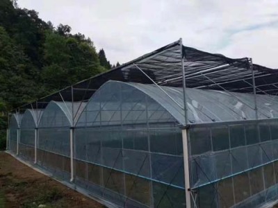湖北蔬菜大棚镀锌管包工包料