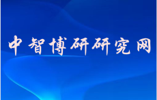 2025-2031年中國麥迪霉素片市場調研分析及