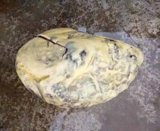 衡陽松木經(jīng)濟開發(fā)區(qū)雞寶長期收購