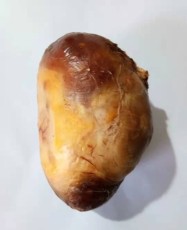 龍亭區(qū)雞寶微信鑒定