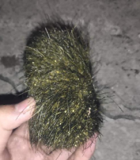 桃源縣雞寶專業(yè)鑒定