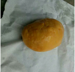 荊門動物寶高價收購