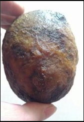永順縣羊?qū)毶祥T鑒定