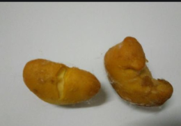崇左縣動物寶高價收購