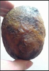 陽江雞寶長期收購