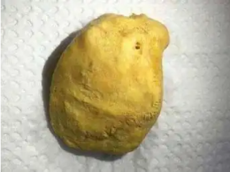 道滘鎮雞寶免費鑒定