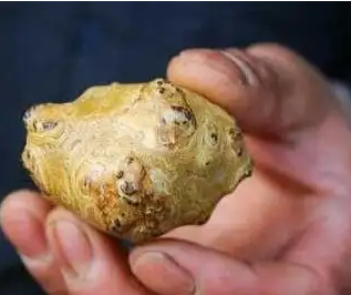 桃源縣雞寶專業(yè)鑒定