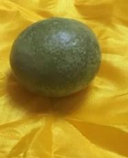 撫州羊?qū)氳b定中心