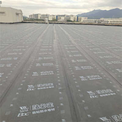 深圳市当地地下室补漏补强工程公司