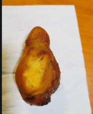 浙江上門牛寶收購