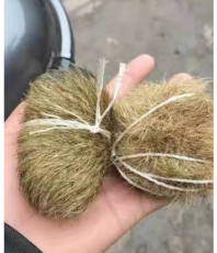 莆田現(xiàn)金上門牛寶收購價格