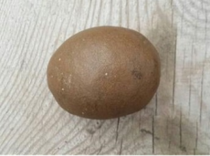 連云港現(xiàn)金上門雞寶行情分析
