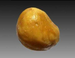 金華長期羊寶現在價格