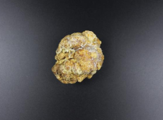 聊城現金上門狗寶鑒定