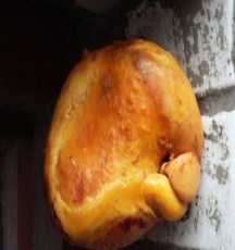 沈陽(yáng)現(xiàn)金上門(mén)豬寶鑒定