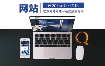 有名气的专业建站哪个平台效果好