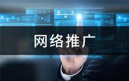 上海品牌商品网络营销推广