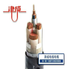 荊門津成屏蔽電纜廠家