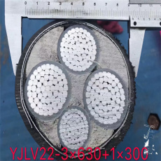 長春津成橡套電纜廠家