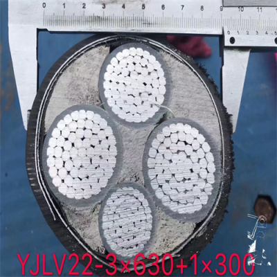 長春津成橡套電纜廠家