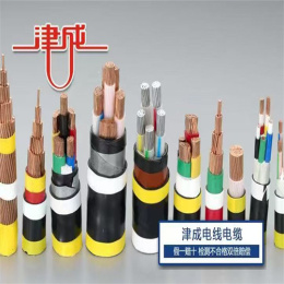 淮安津成橡套電纜廠家
