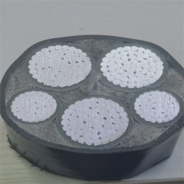 遵義津成防水電纜價格