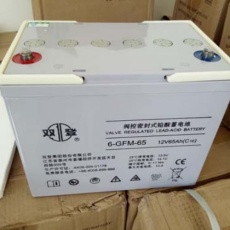 资阳法国时光蓄电池12V100AH参数