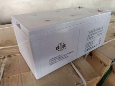 肇慶雙登蓄電池12V100AH正品現貨