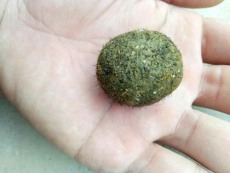 棗莊收購羊?qū)毝嗌馘X一克