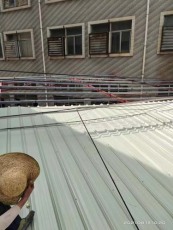 園洲鎮簡單鐵皮棚搭建工程