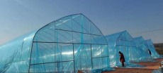 商洛薄膜温室大棚可实地测量搭建