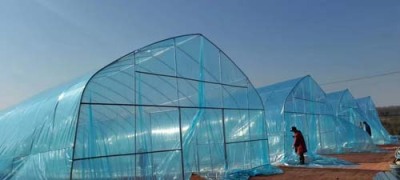 商洛薄膜温室大棚可实地测量搭建