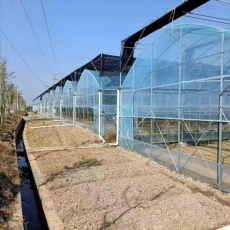 嘉兴智能温室大棚设计施工报价