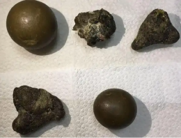 信陽高新技術(shù)產(chǎn)業(yè)開發(fā)區(qū)羊?qū)氶L期收購